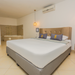 Habitación doble ejecutiva con cama king y baño con puerta corrediza.